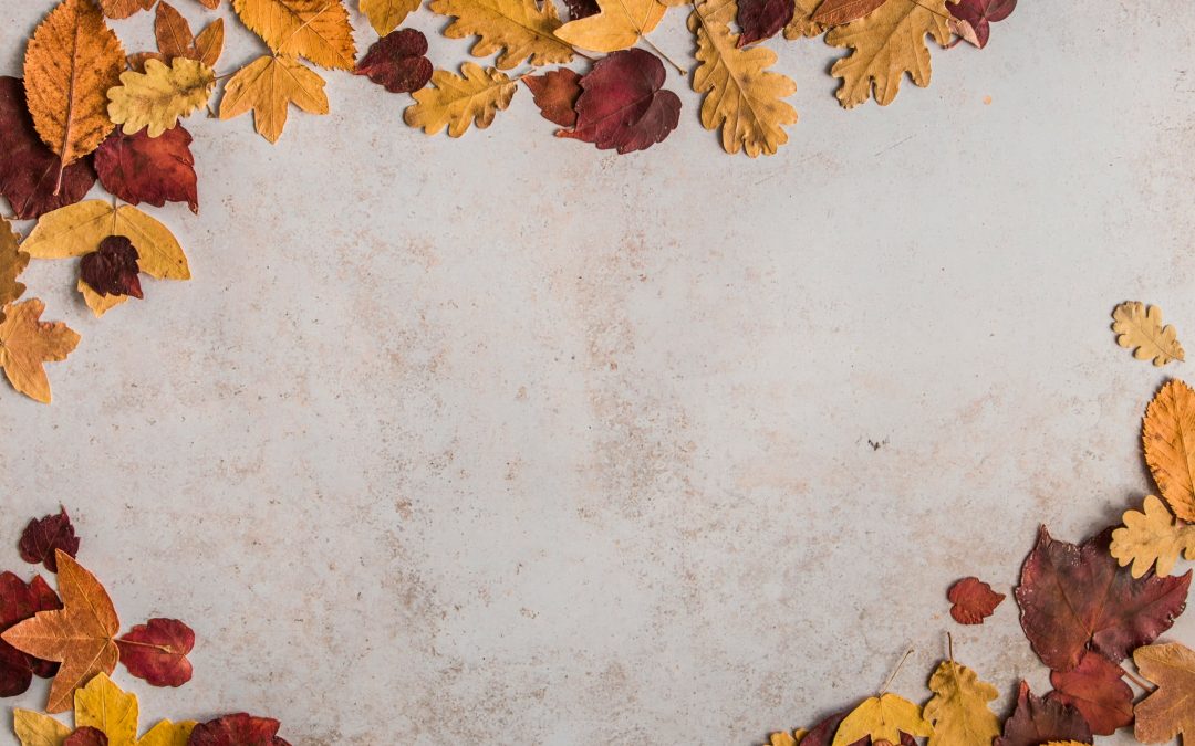 Uusin impakti julkaistu