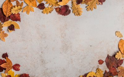 Uusin impakti julkaistu